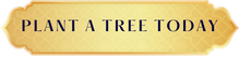 Tree Planting Program Update – 2025 Since the start of 2025, HAF has made significant strides in tree planting, strengthening partnerships, expanding nurseries, and increasing community engagement-45